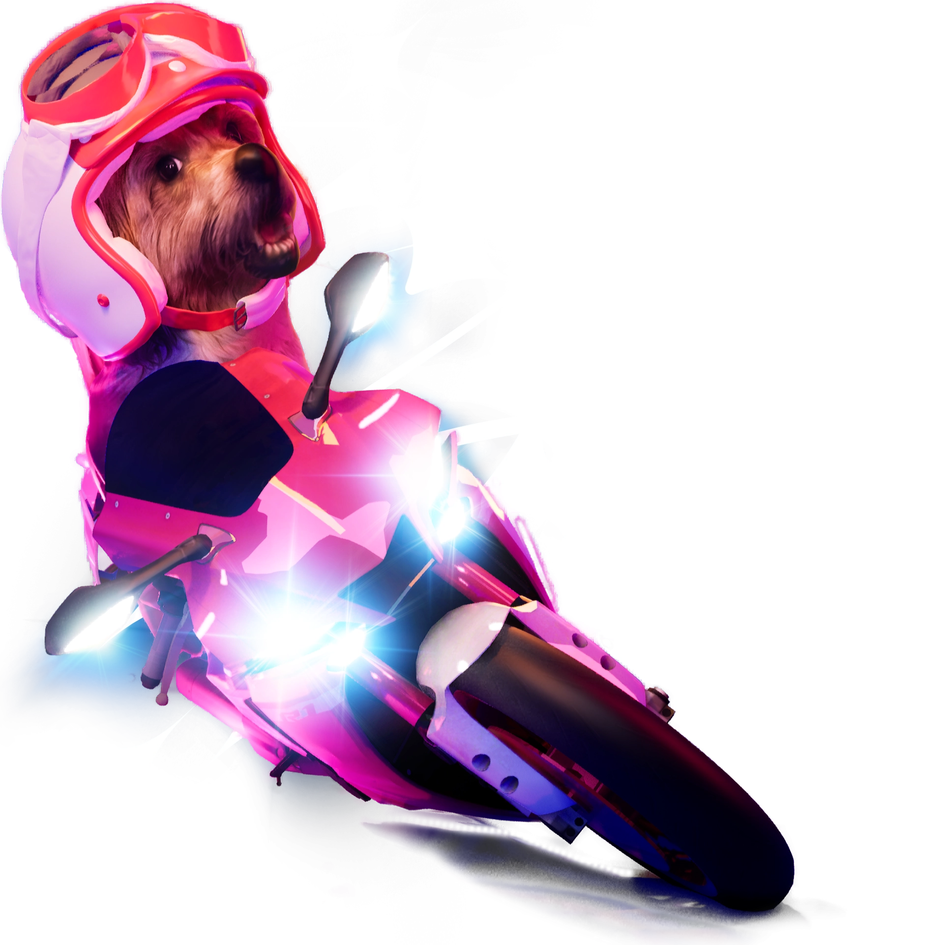 Bella CMO of Nexus Hue riding a racing motorcycle to represent the Speedster web design package by Nexus Hue, symbolizing fast website performance & durability